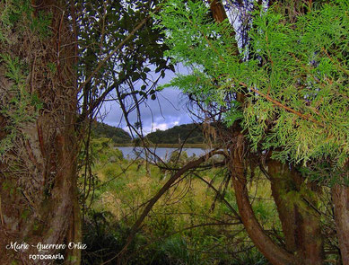 Laguna Negra o Laguna Coba Negra - Pasto