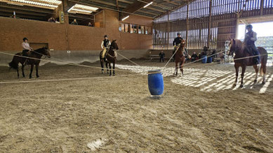 HETS-Trainer zeigen bei einer Vorführung eine Level 3 Aufgabe mit dem Lasso.
