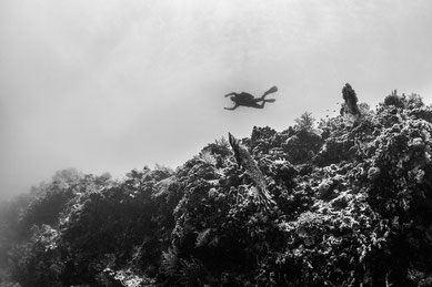 Underwater black and white photograph