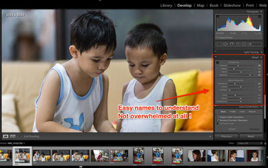 Lightroom and it's easy to understand user interface