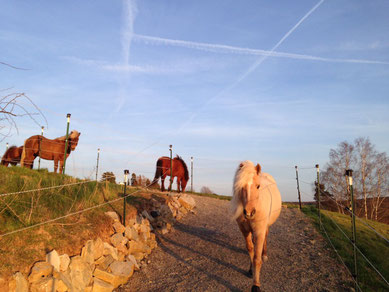 Hufe auf Trab - Paddocktrail