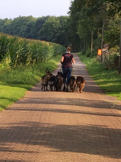 Start Tierpension Und Waisenstation Mit Herz Anja Witting