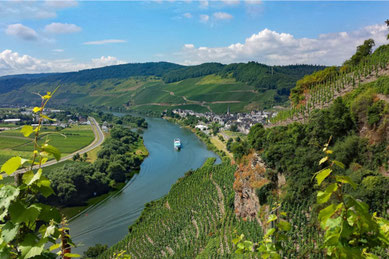 Weingüter Trier