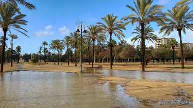 Parque Antonio Sanz Zamorano