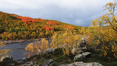 Teno - Grenzfluss zwischen Norwegen und Finnland