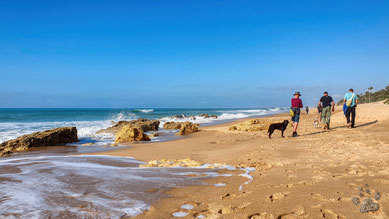 Am Strand von Roche