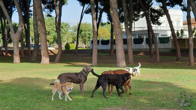 Parque Andaluz