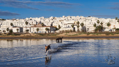 Blick vom Strand auf Conil de la Frontera