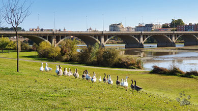 Badajoz - Guiadiana-Park