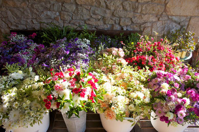 Ramos de novia-bouquets 