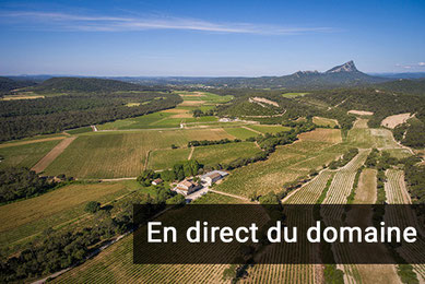 Domaine château La Roque avec vue sur le pic Saint-Loup anocr34.fr