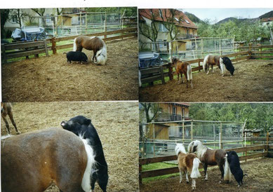 Unser Winner und Schwein Erna !!!
