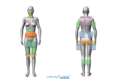 Behandlungszonen bei Frau