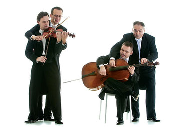 mozart group contact