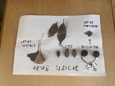 もう秋がたくさんでした!