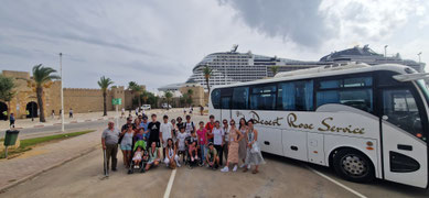 Viaggiatori Desert Rose