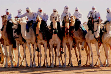 Mehari race in Douz
