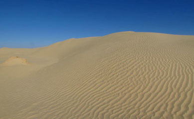 Ksar Ghilane, Sahara