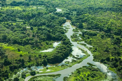 dictée le pantanal cm2 vue verte
