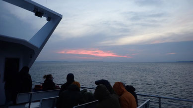 Bootsfahrt auf dem Bodden