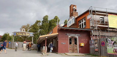 9924 Pullmann City Harz