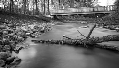 Download Alleine ist man besser dran For Android Alleine Ist Man Besser Dran