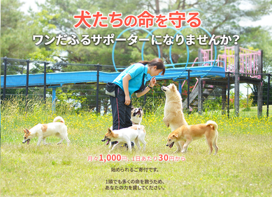 画像クリックで詳細ページへ。見て頂けるだけで感謝です(*^^*)