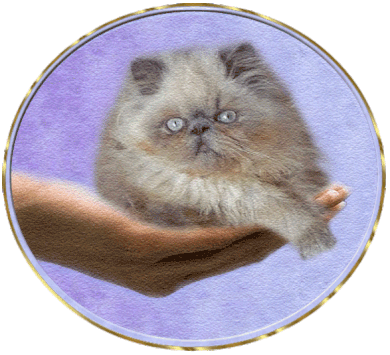 Https Encrypted Tbn0 Gstatic Com Images Q Tbn 3aand9gcrdart6cadqlhojifbtwpcjzgxz8hbntvbemg Usqp Cau