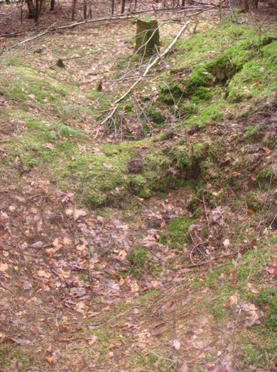 German Foxholes Hill B