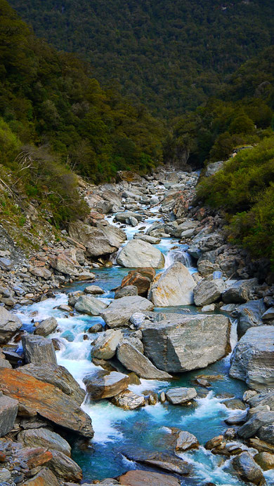 fantail falls