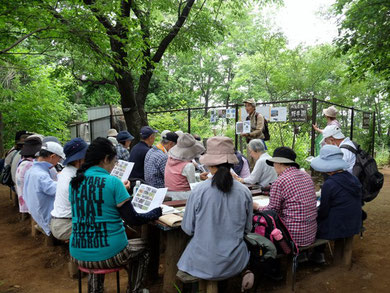 2019年6月2日市民大学「たまきゅうりょうの自然入門」の参加者に対し尾根の植生、生物、景観、会の活動状況などの紹介を行った。