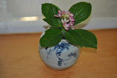 初期伊万里葡萄紋染付壺&紫陽花