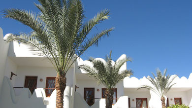Swiss Inn Dahab - Training im Jan u. März 2009