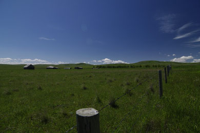 Einst Büffelland, jetzt Farmland