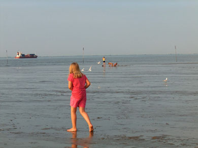 Auf Muschelsuche