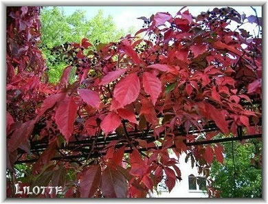 Herbst 2012