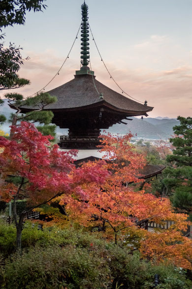 京都嵐山 常寂光寺の紅葉