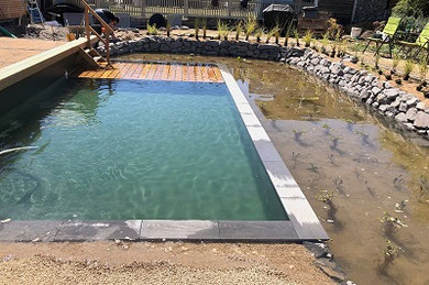 Schalungssteine für Schwimmbad/Teich