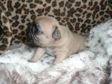 E'Lily, 24.08.2010