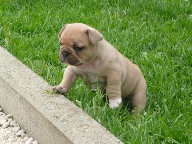 E'Charlotte 1 mois