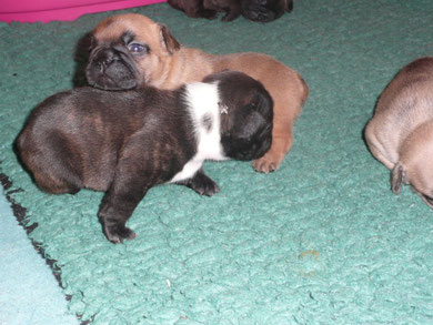 Eliott & Ely, 24.08.2010