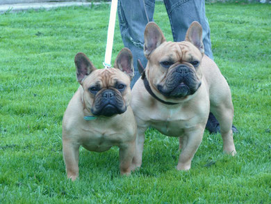 Barney et sa fille (Charlotte des Landes du Marchairuz)