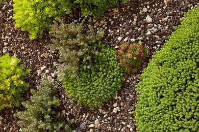 Dachsubstrat für leichte extensive Dachbegrünung - INTERBIMS