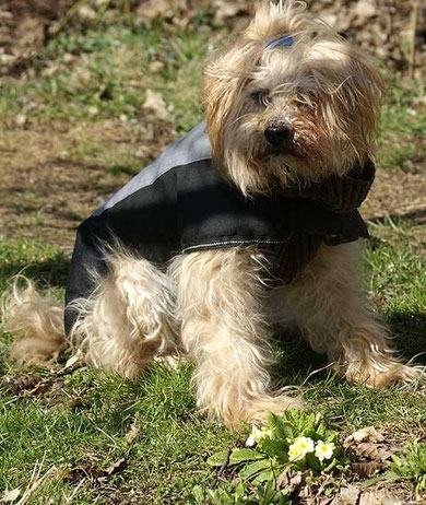 Oma Indra im Frühling 2013