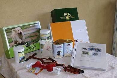 Welpen-Starterpaket