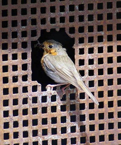 Futterlieferant frei Haus