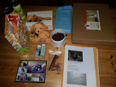Welpen-Starterpaket