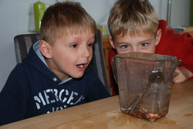 Experiment zur Obenflächenspannung von Wasser