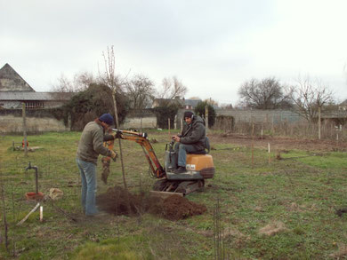 Mini-pelle pour les plantations