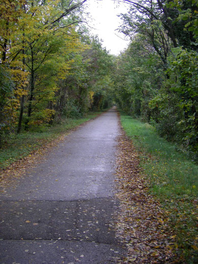 Le long de l'Isère